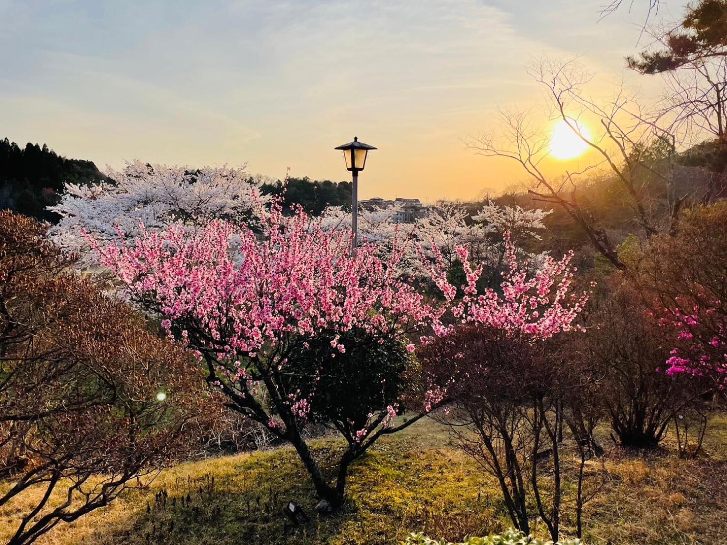 Hotel Granping ng が mi no Du Nakatsugawa Exterior foto